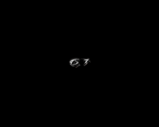 61.gif