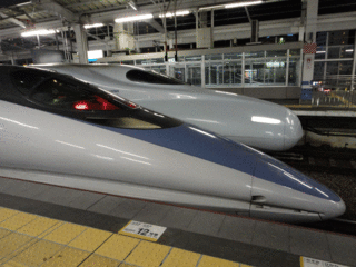 DSC0235V.gif