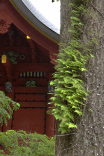 平中−3.gif