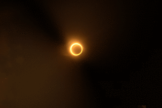 .gif
