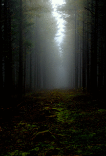 ̈ÂX.gif