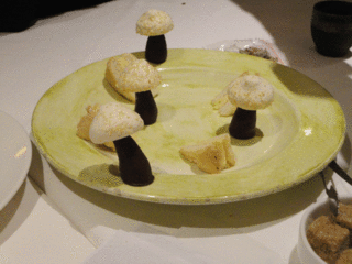 ma-2.gif